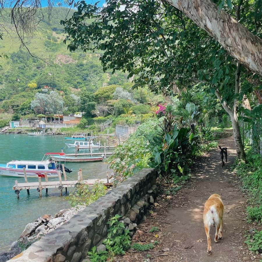 Lake Atitlan Walking Tour in 4 Different Towns - Chocolate, natural dyes, and Mayan honey