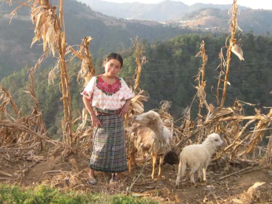 Lower Mayan Trail: San Marcos to Santa Cruz 4-Hour Hike - Why This Hike Shows Lake Atitlan Differently