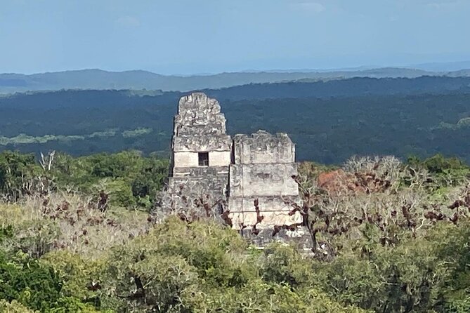 Mayan Adventure: Tikal in a Day - Key points to know before you book