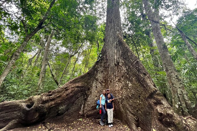 Mayan Adventure: Tikal in a Day - FAQ
