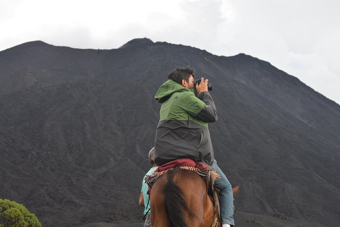 Pacaya volcano, Active Nature - The horse-riding issue and what it means