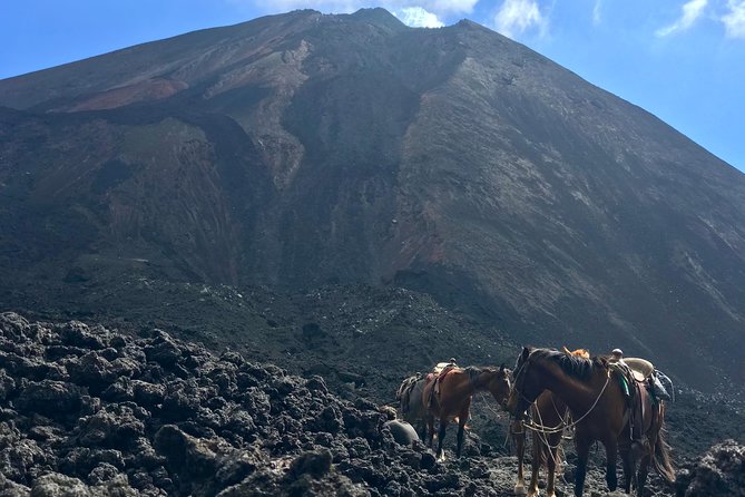 Pacaya Volcano and Thermal Pools - The 9:00 a.m. start and private pickup