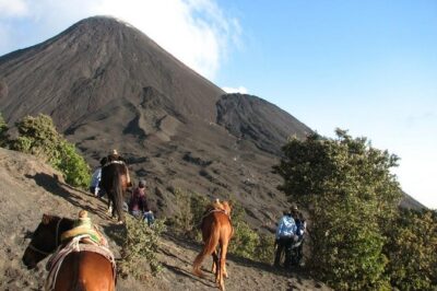 Pacaya Volcano Day Trip from Antigua