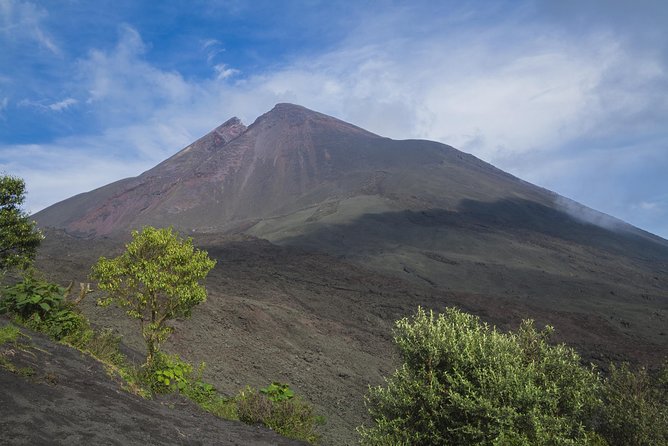 Pacaya Volcano Day Trip from Antigua - Horse rides, walking sticks, and local add-ons