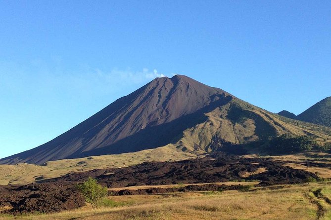 Pacaya Volcano Excursion from Guatemala City - Key Points Before You Book