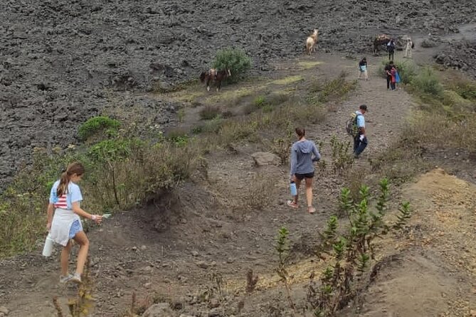 Pacaya Volcano Excursion from Guatemala City - Views Depend on the Weather