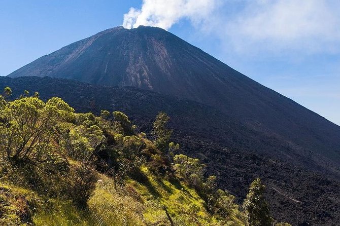 Pacaya Volcano Excursion from Guatemala City - Who Will Enjoy This Excursion Most