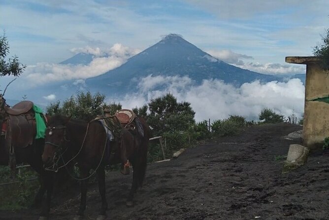 Pacaya Volcano Hike! from Puerto Quetzal - Key points to know before hiking Pacaya