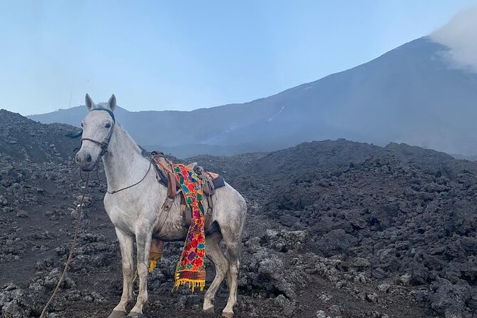 Pacaya Volcano Horseback Fast Ride Lava Pizza Chef - Who will enjoy this most?