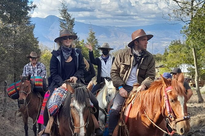 Pacaya Volcano Horseback Fast Ride Lava Pizza Chef - Meeting the horses and choosing your pace