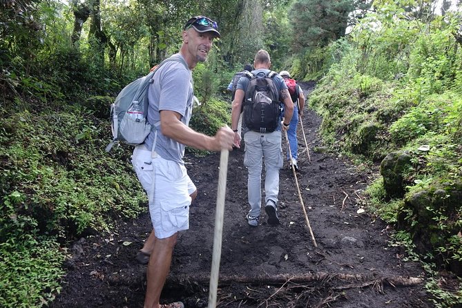 Pacaya Volcano Overnight Tour from Antigua - Hiking Toward Pacaya’s Geothermal Heat