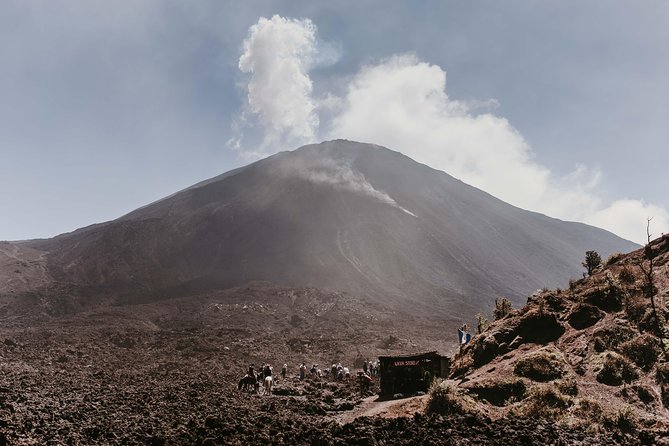 Pacaya Volcano Shared Hiking Tour - Meeting the local guide at Pacaya
