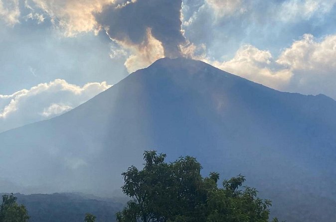 Pacaya Volcano Tour from Antigua Guatemala - Who Will Enjoy This Tour Most