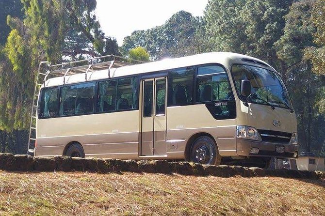 Private Arrival Transfer: La Aurora International Airport to Antigua Hotel - Who Should Book This Transfer?