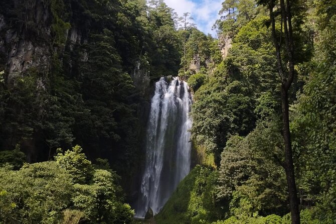 Private Day Tour of Magic and Nature in Cascades of Urlanta - Leaving Antigua at 6:30 in the morning
