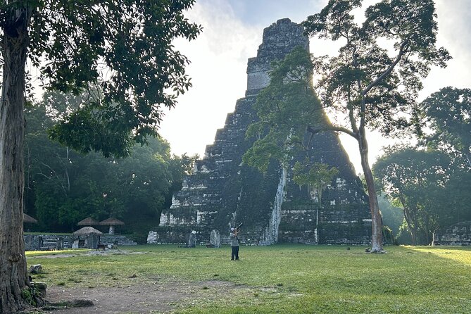 Private Full Day Tour in Tikal - Lunch, comfort, and the value of the $180 price