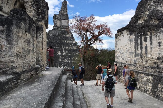Private Tour of Tikal from Belize Western border - Temple II and the best photograph of Temple I