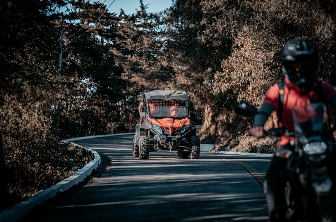 Private Tour to Hobbitenango by Mule and Buggy - Who will enjoy this Hobbitenango trip