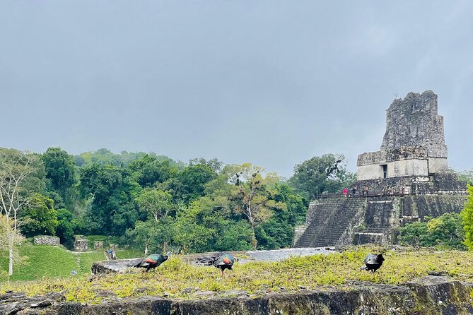 Private Tour to Tikal from Flores, all included. - The ride from Flores to Tikal