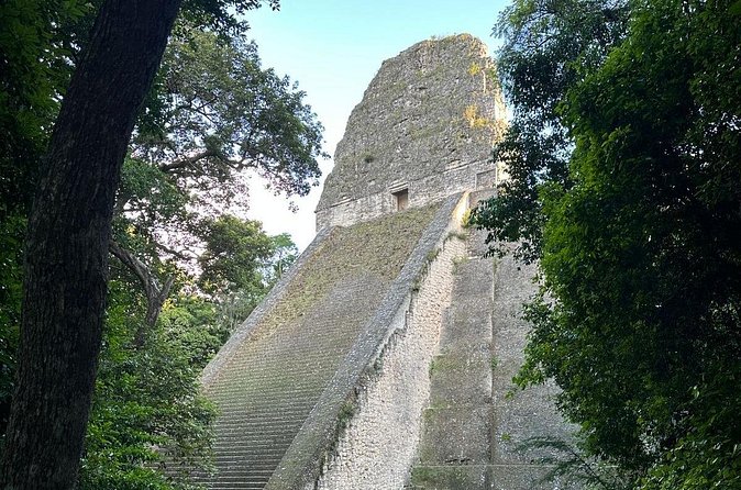 Private Tour to Tikal from Flores, all included. - What the three-hour park visit feels like