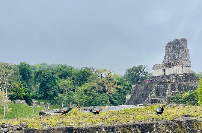 Private Tour to Tikal from Flores, all included. - Who should book this experience?