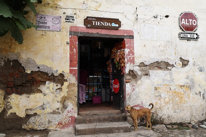 Private Walking tour of Antigua Guatemala - Catedral de San Jose: grandeur reduced to ruins