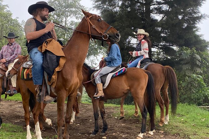 Puerto Quetzal Pacaya Volcano Horseback Ride with Lava Pizza - Reaching the young lava beds