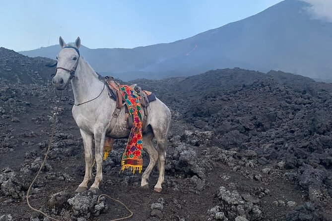 Puerto Quetzal Pacaya Volcano Horseback Ride with Lava Pizza - Lunch at the lava table