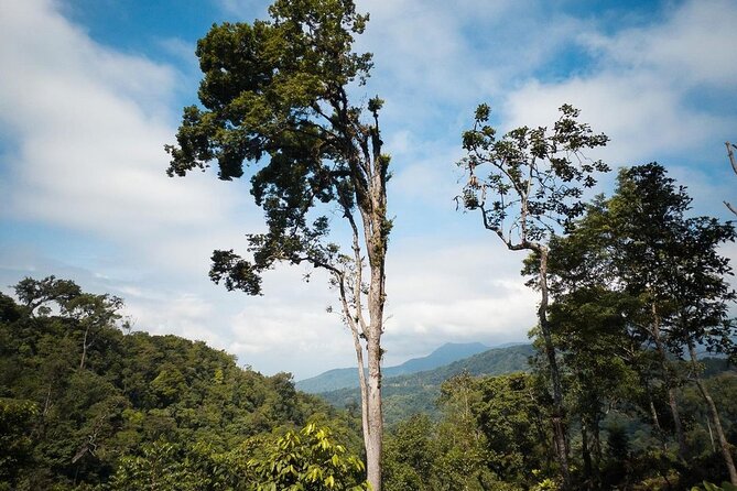 Quetzal Quest Birdwatching Adventure at Rey Tepepul Lookout - Key points at a glance