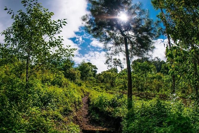 Quetzal Quest Birdwatching Adventure at Rey Tepepul Lookout - The uphill trail and what your body needs
