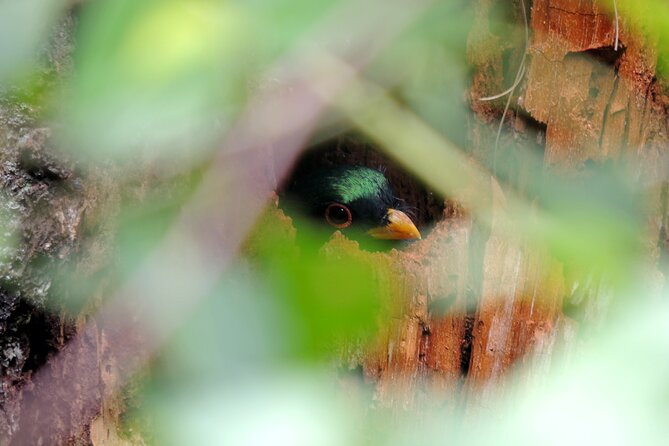 Quetzal tour on lake atitlan - Key points at a glance