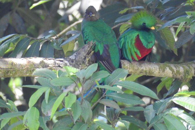 Quetzal tour on lake atitlan - Crossing Lake Atitlan to Santiago