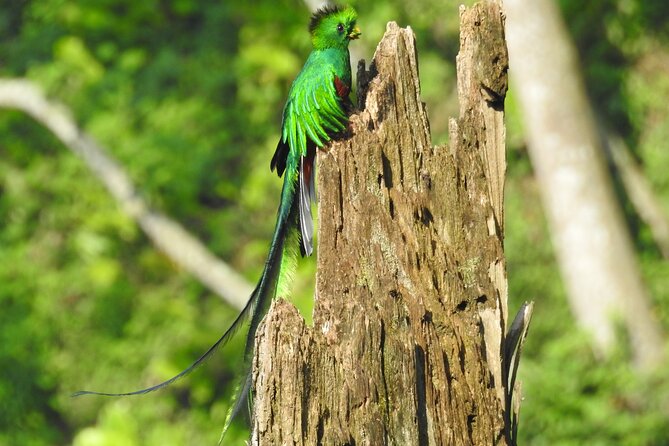 Quetzal tour on lake atitlan - The 6:00 a.m. meeting in Panajachel