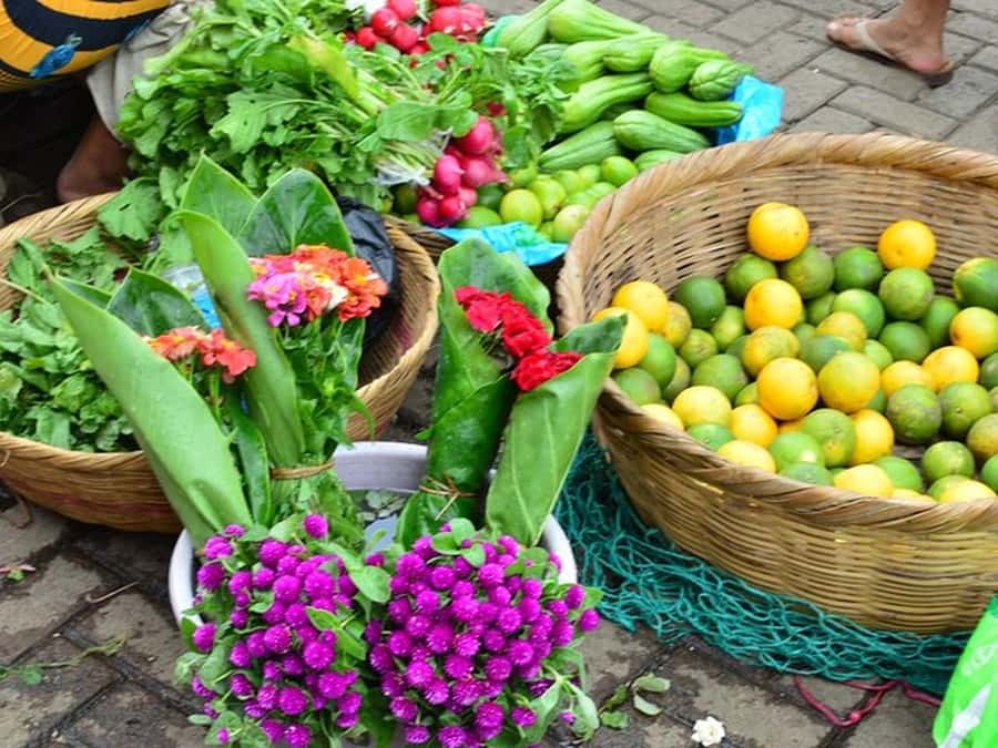 San Salvador: Full Day Ruta de Las Flores and Coffee Farm - Key points at a glance