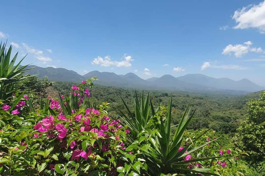 San Salvador: Full Day Ruta de Las Flores and Coffee Farm - Why La Ruta de las Flores makes a good day trip