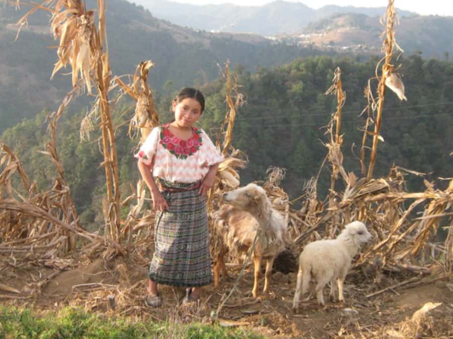 Santa Cruz La Laguna: 6-Hour Solola Hike & Market Visit - Following old paths above Lake Atitlan