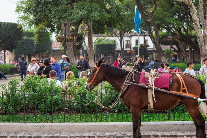Shared Transportation from Panajachel or Lake Atitlan to Antigua - Who Should Book This Shared Shuttle?