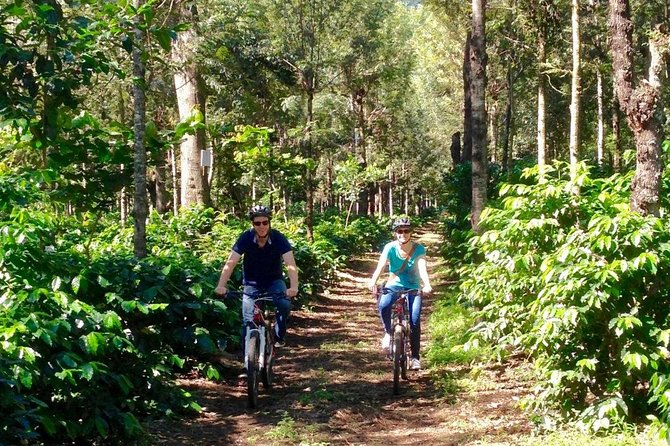 Sip n' Cycle Coffee and Mountain Bike Tour - Key points to know before booking