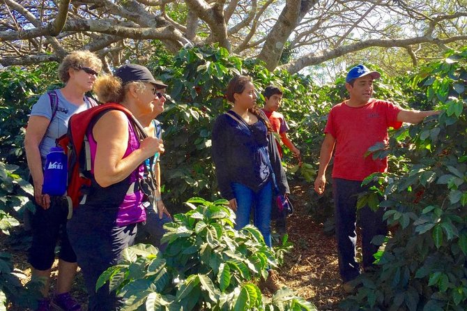 Sip n' Cycle Coffee and Mountain Bike Tour - Timing, group size, and practical planning