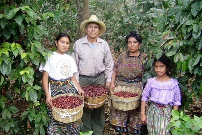 Solola Market, Panajachel Cloud Forest and Mayan Villages from Antigua - Why this day trip is different from a standard Lake Atitlan visit