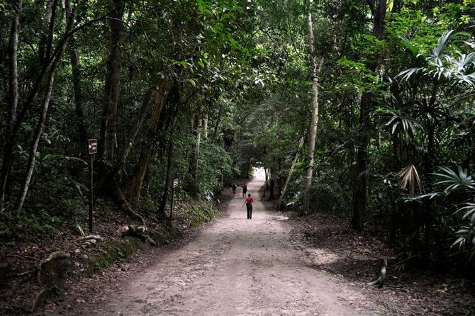 Tikal and Yaxha Exclusive Private Tour from Flores - The one-hour transfer to Yaxha