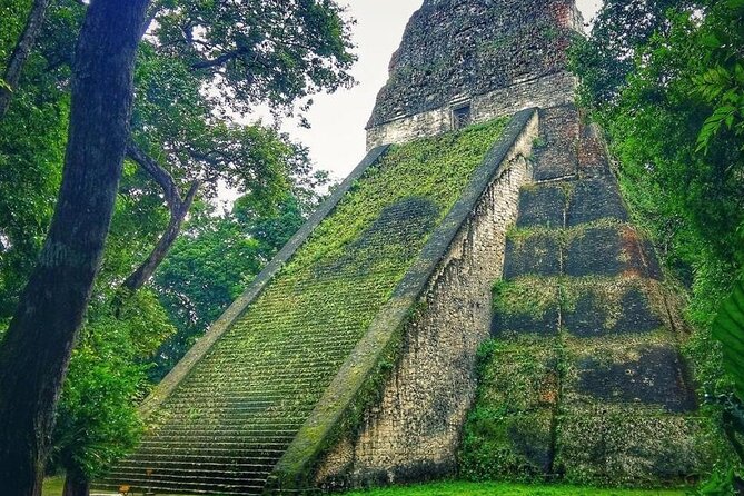 Tikal Day Tour From San Ignacio Belize - Starting at 7:00 am near Melchor de Mencos
