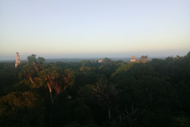 Tikal Day Tour with Pick-up from Flores - Key points to know before booking
