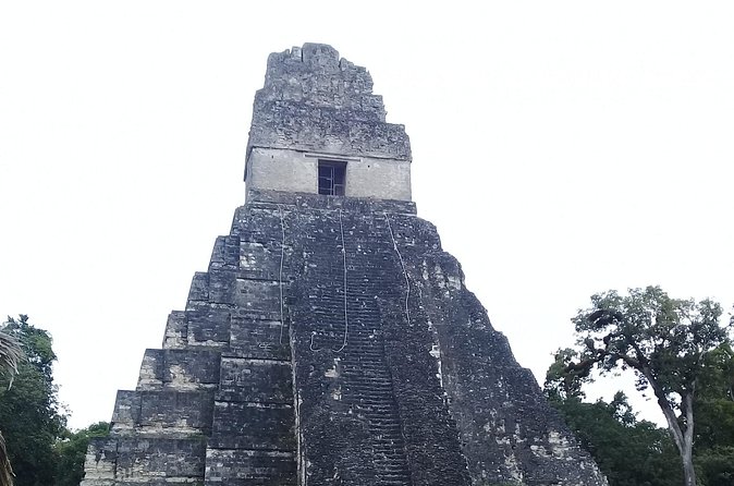 Tikal Day Tour with Pick-up from Flores - Palace of Malher and the Seven Temples Court