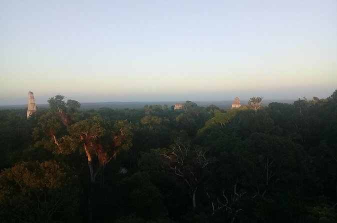 Tikal Day Tour with Pick-up from Flores - The Lost World, lime kilns, and chultuns