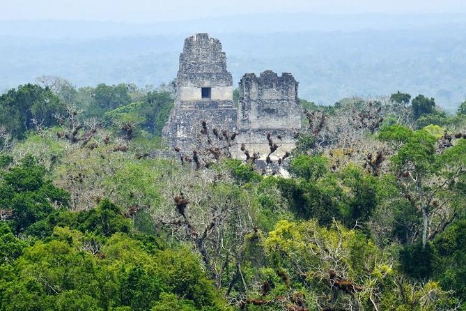 Tikal Day Trip by Air from Guatemala City with Lunch - Entering Tikal National Park