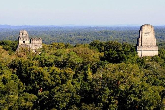 Tikal Day Trip by Air from Guatemala City with Lunch - The flight to Flores and the road to Tikal