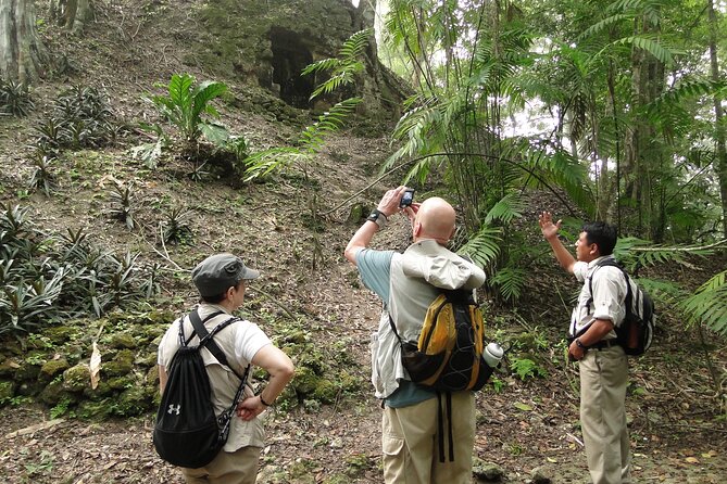 Tikal Exclusive Full-Day Tour - Why a private Tikal day makes sense