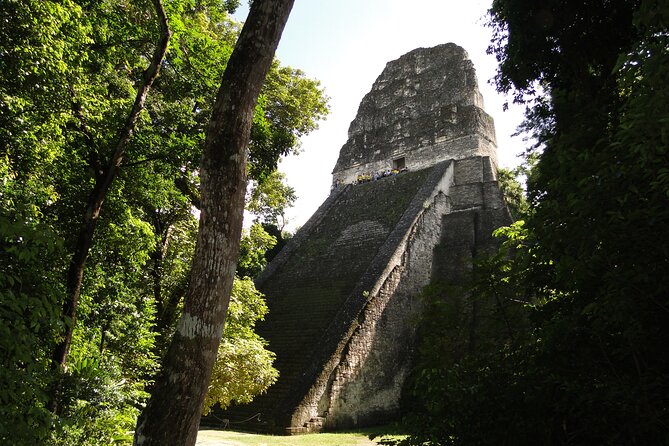 Tikal Exclusive Full-Day Tour - Temple IV and the big Tikal moment