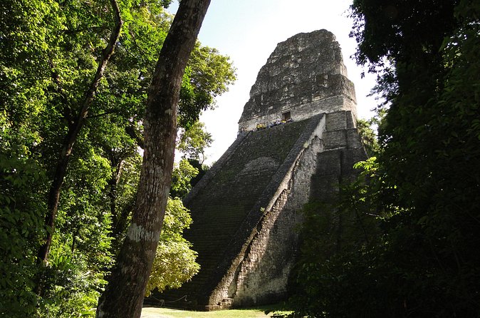 Tikal Exclusive Full-Day Tour - Returning to Flores from 3:30 to 5:00 p.m.